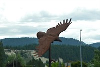 DSC_0826 (2)