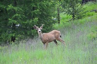 DSC_0834 (2)