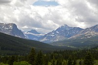 DSC_0894 (2)