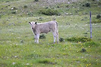 DSC_0902 (2)