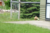 DSC_0941 (2)