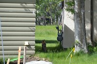 DSC_0943 (2)