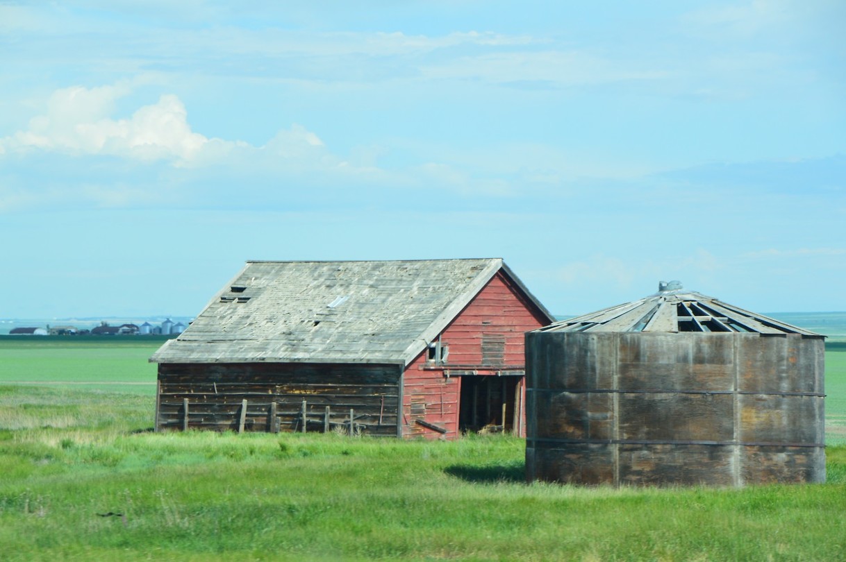 DSC_0965