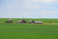DSC_0975