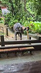 Elephant Sanctuary