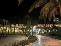 1000031505