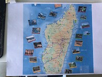 IMG_9511