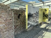 IMG_1852