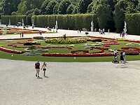 IMG_2131