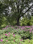 IMG_2319