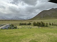 IMG_2350