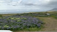 IMG_2347