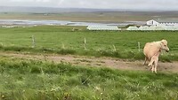 IMG_2394