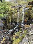 IMG_2487