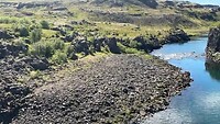 IMG_2442