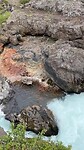 IMG_2480