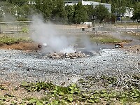 IMG_2520