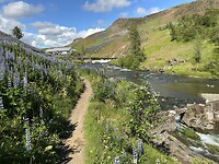 IMG_2528