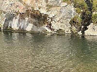 IMG_2529