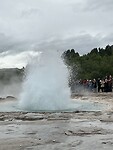 IMG_2559