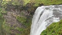 IMG_2650