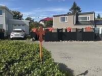 IMG_2800