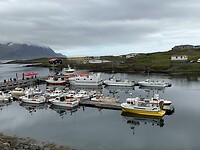 IMG_2845