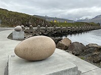 IMG_2849