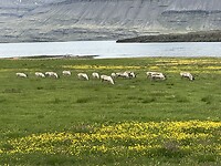 IMG_2860