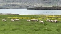 IMG_2861