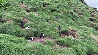 IMG_2942
