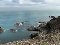 IMG_3006