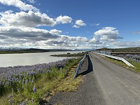 IMG_3046
