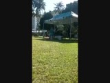 De Lagoon