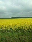 IMG_1583