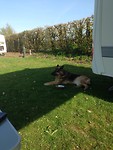 IMG_3639