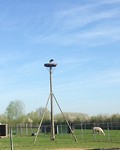 IMG_3643