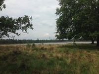 IMG_3972