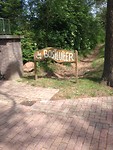 IMG_3992