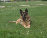 Roxy