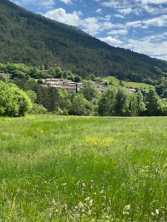 IMG_3733