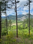 IMG_3737
