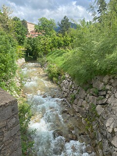IMG_3653