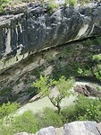 IMG_3767