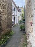 IMG_3755