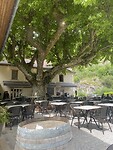 IMG_3894