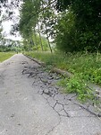 IMG_3897