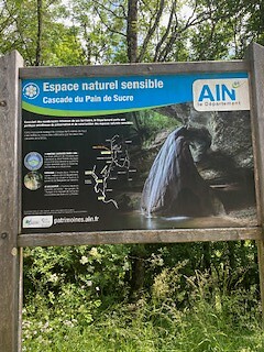 IMG_3944
