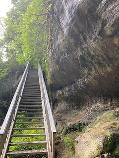 IMG_3946