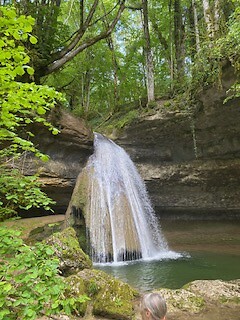 IMG_3950